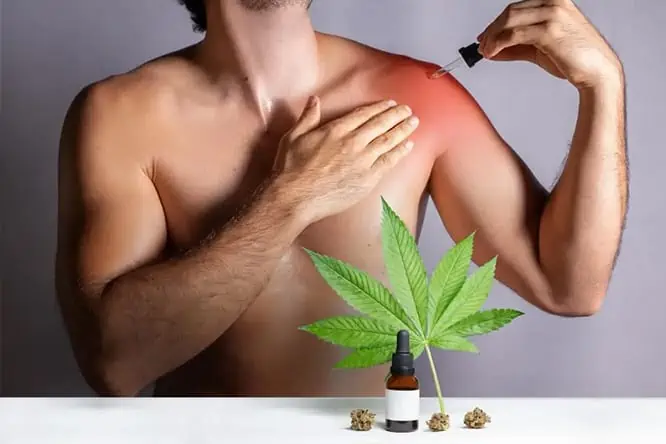 L'olio CBD nel trattamento delle contratture muscolari. L'immagine mostra un mezzo busto di un uomo, di cui non si vede la parte superiore del viso, che, a torso nudo, si applica sulla spalla sinistra arrossata dell'olio CBD con un contagocce e si massaggia con la destra.